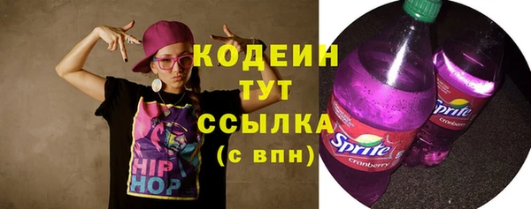 хмурый Елабуга