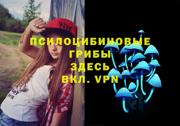 ПСИЛОЦИБИНОВЫЕ ГРИБЫ Алексин
