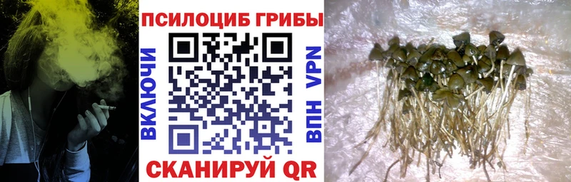 Галлюциногенные грибы ЛСД  Шлиссельбург 