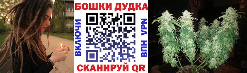 Каннабис LSD WEED  hydra ONION  shop какой сайт  наркота  Шлиссельбург 